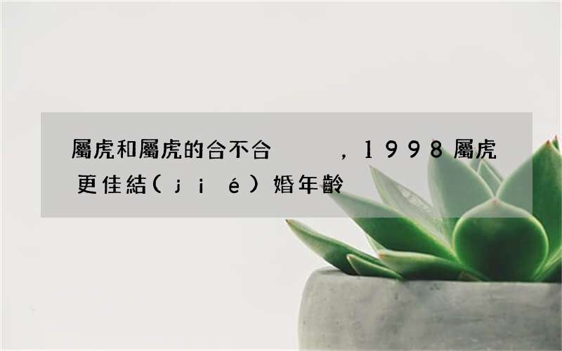 屬虎和屬虎的合不合，1998屬虎更佳結(jié)婚年齡